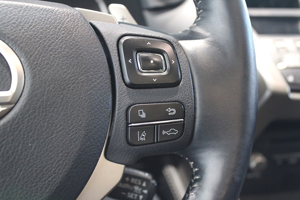 Bild på Executive 300h 2.5 E-CVT 197hk Aut AWD - M-BAKLUCKA,NAVI,B-KAMERA