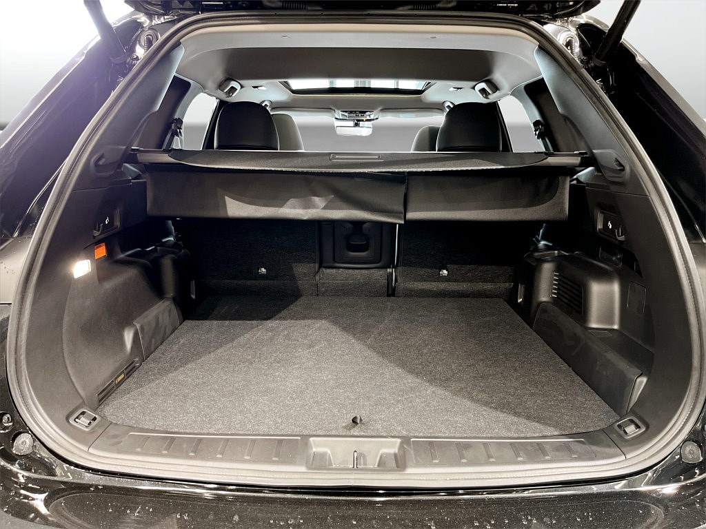 Bild på Instyle Plug-In Hybrid 4WD - DEMO