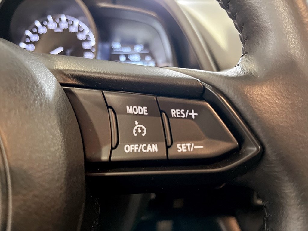 Bild på Vision 2.0 121hk Aut -  RATTVÄRME