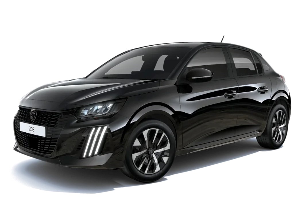 Hybrid Edition 100hk Aut - PRIVATLEASING DIREKTLEVERANS