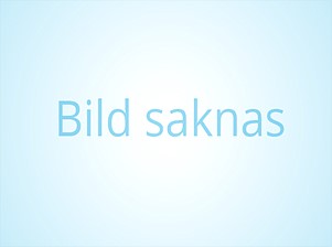 Felsökning Isolation HV Batteri