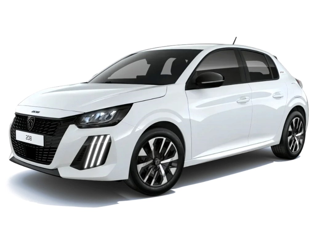 Hybrid Edition 100hk Aut - PRIVATLEASING DIREKTLEVERANS