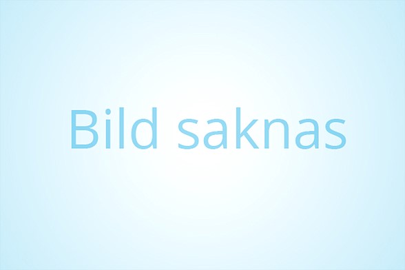 Mercedes-Benz E-Klass E 220 d 4MATIC Sedan W213 (194hk)