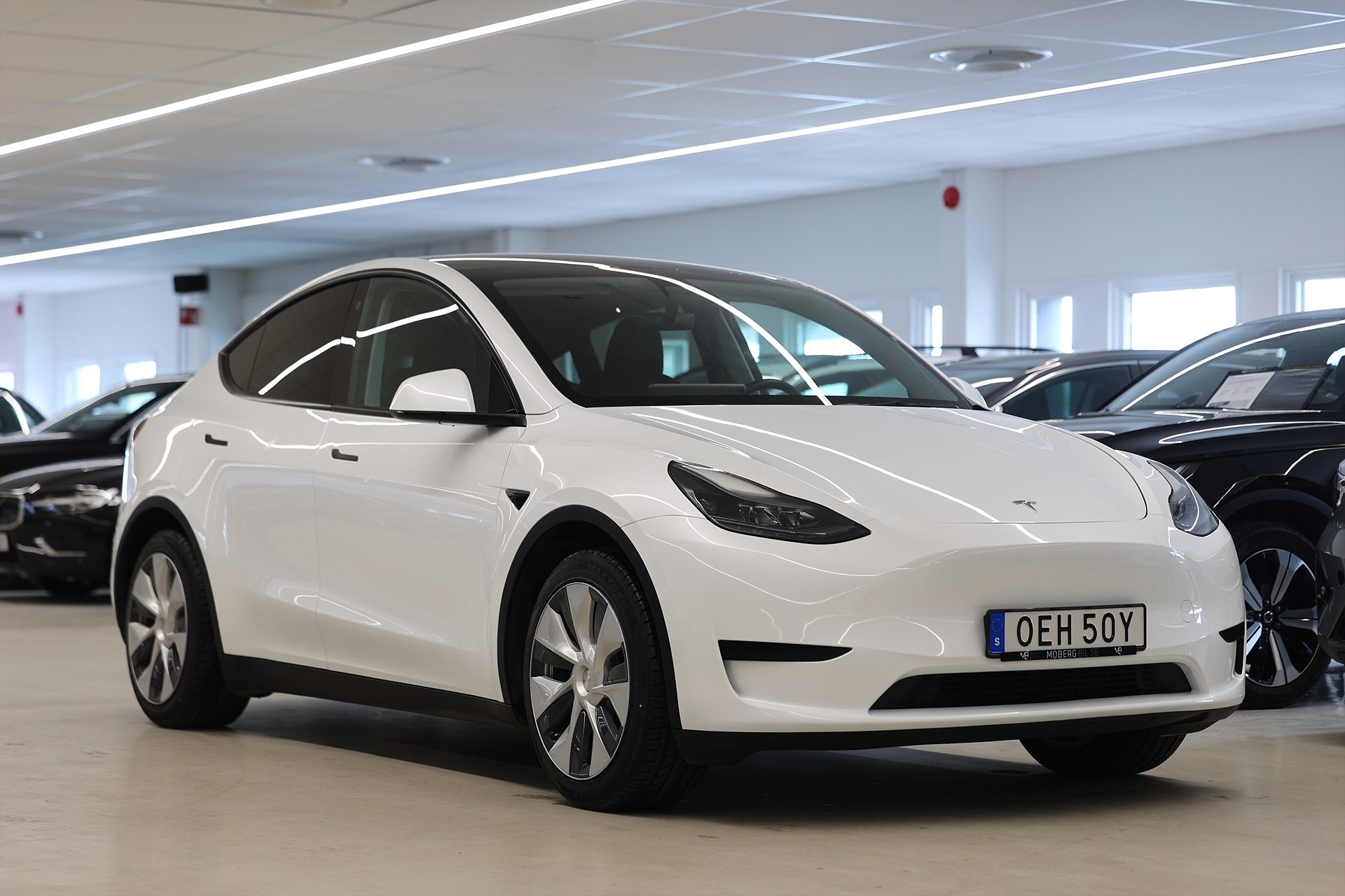 Tesla Model Y Standard Range 299hk Pano Läder Navi Drag B-Kamera