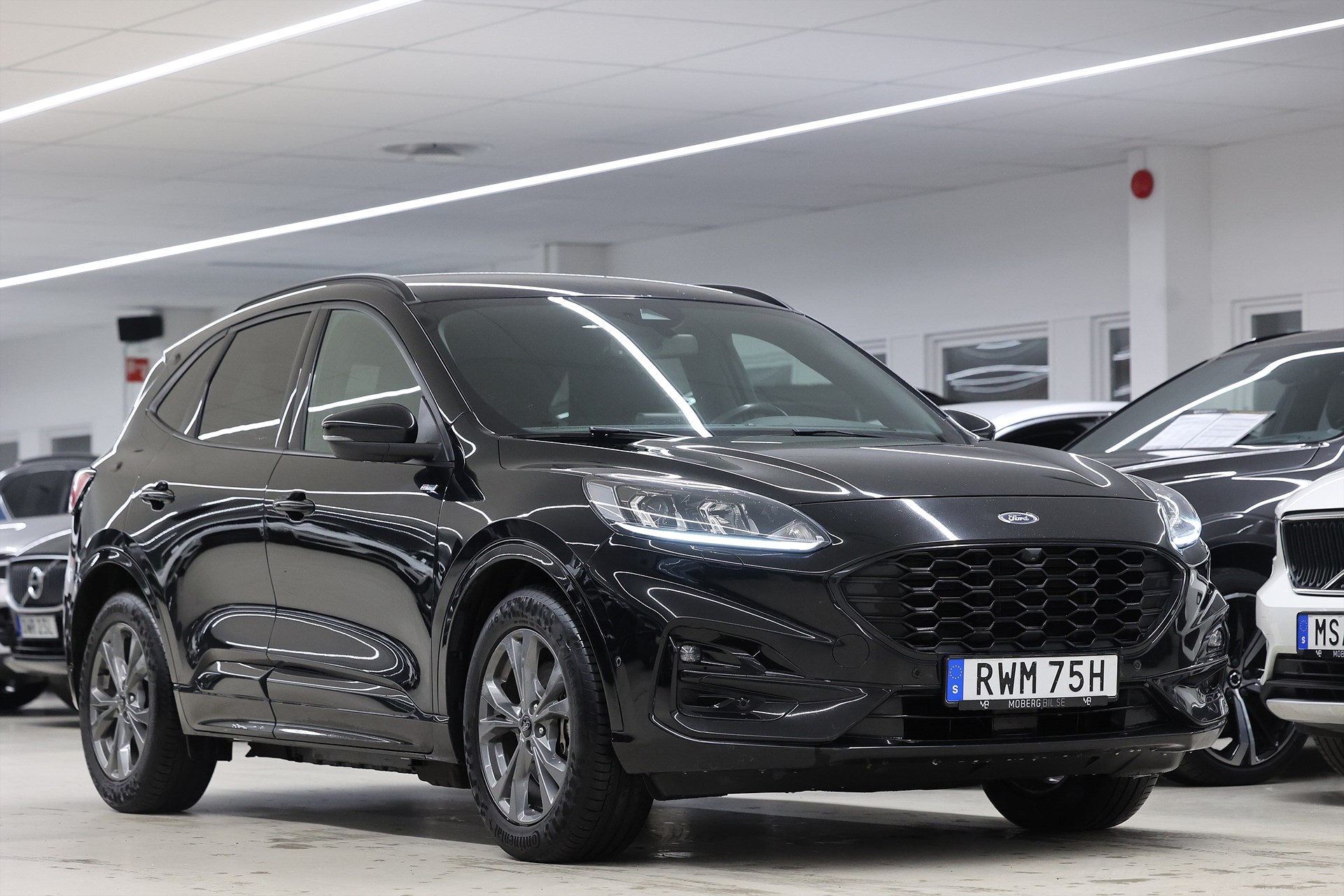 Ford Kuga Plug-In Hybrid 225hk ST-Line *Hjulkampanj!* Drag Kamera