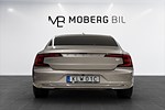tummnagel