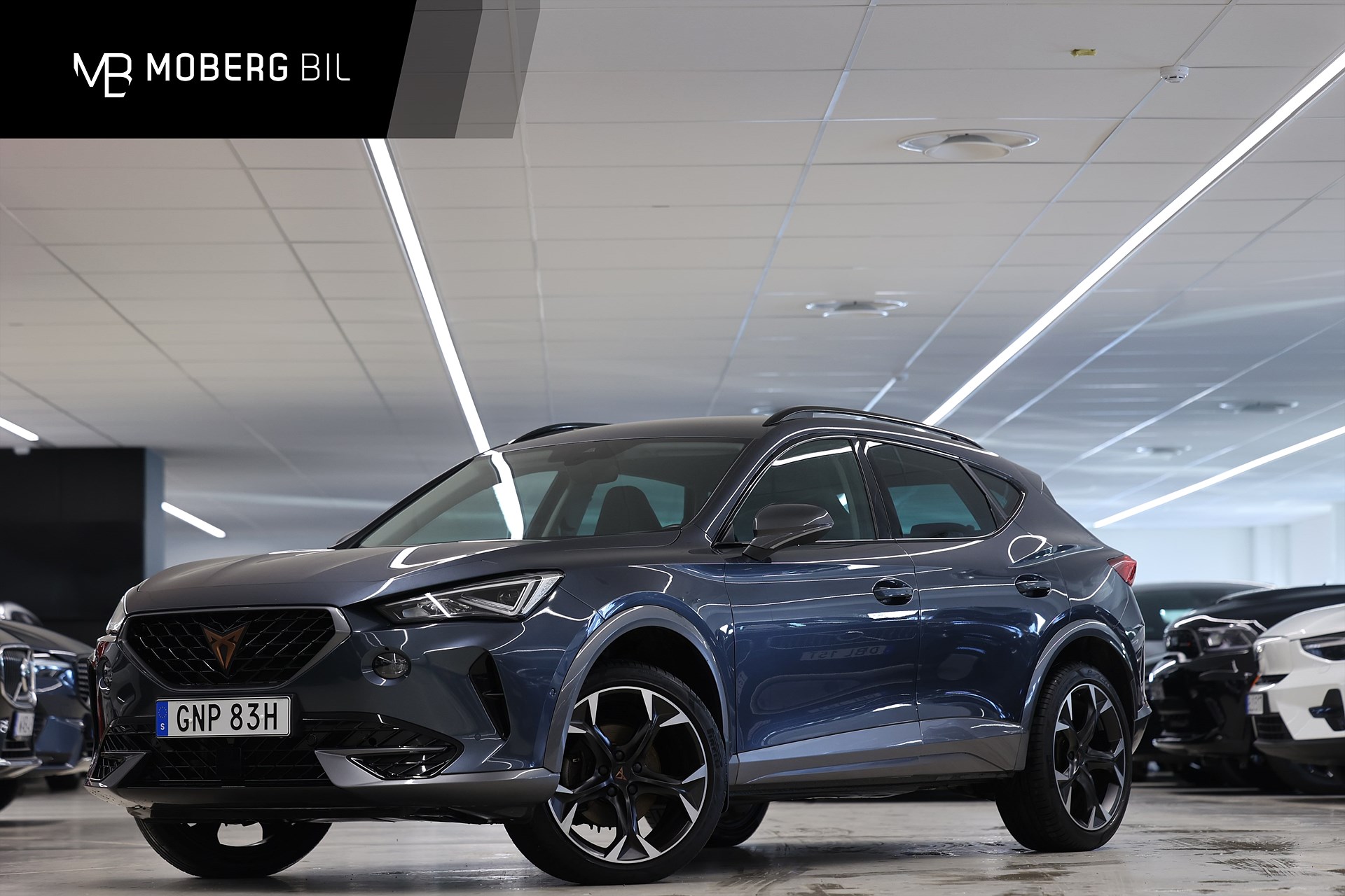 CUPRA Formentor 1.5 TSI 150hk Winter PDC Carplay