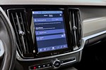 tummnagel