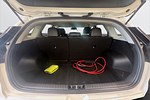 tummnagel