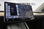 tummnagel