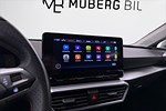 tummnagel